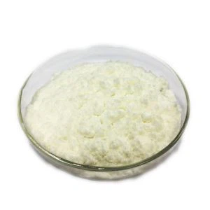 L'aggenti di l'antiscutu di gomma